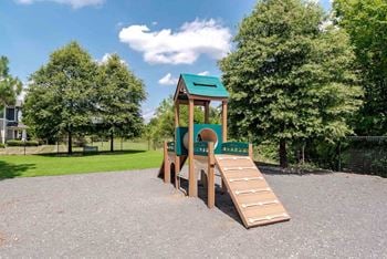 Dog park